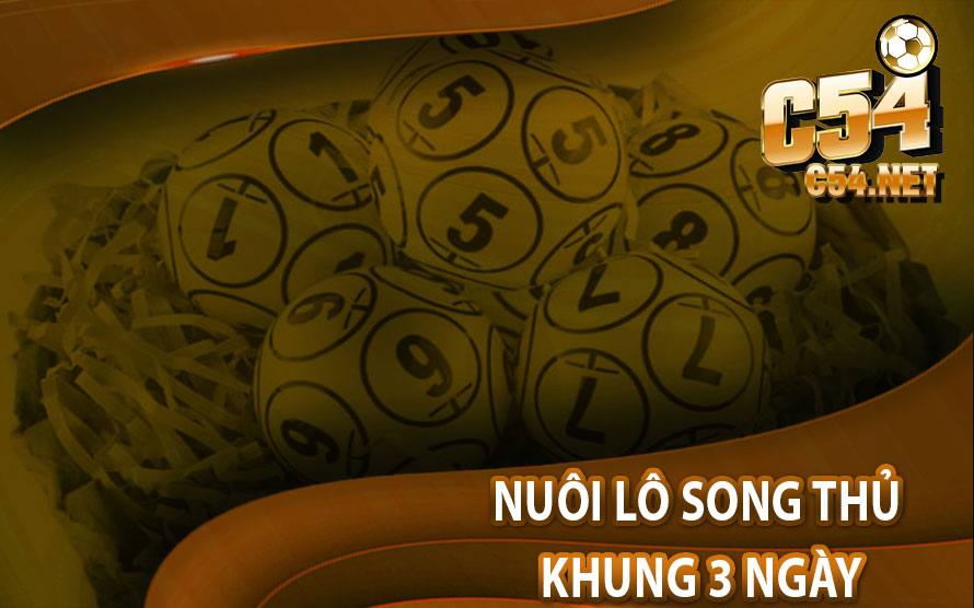 Nuôi Lô Song Thủ Khung 3 Ngày